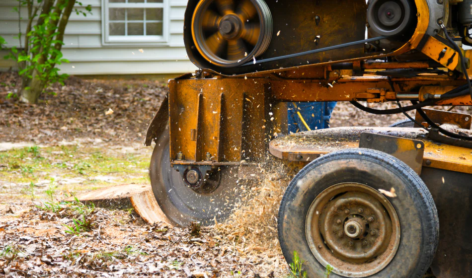Stump Grinding (1)