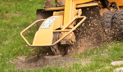 Stump Grinding