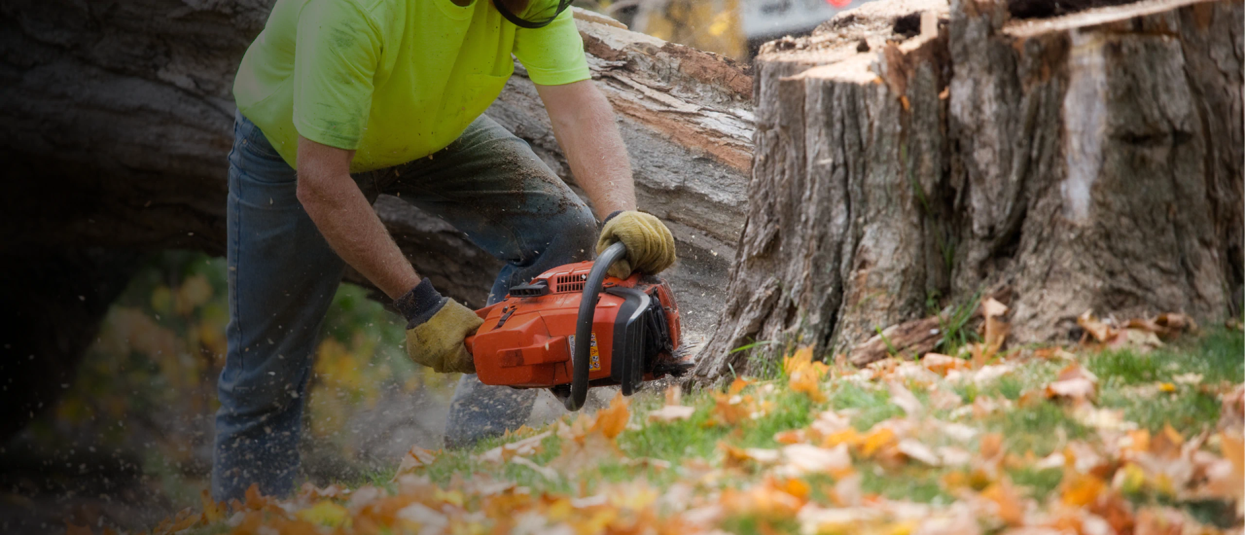 perso tree service hero 2